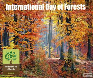 yapboz Uluslararası Orman Günü